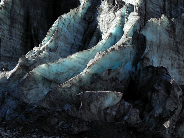 What Is The Reason Behind Combination Of Carnatine And Tea Extract In Promoting Weight Loss?