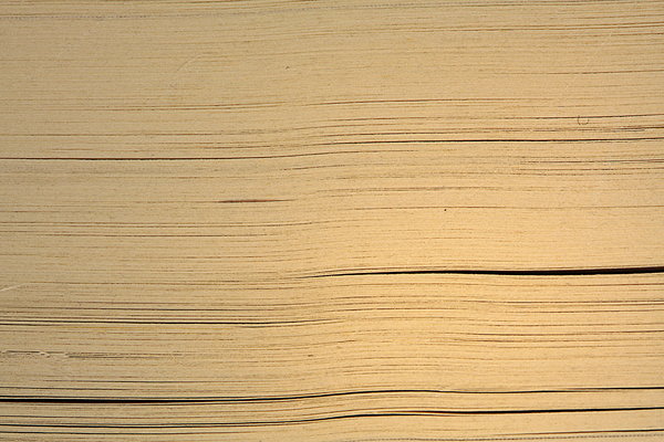 1mQUKY.jpg
