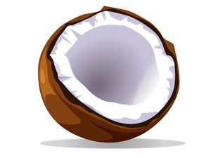 Stock Images Free Download on Free Stock Photos   Rgbstock   Free Stock Images   Coconut Vector   Jc