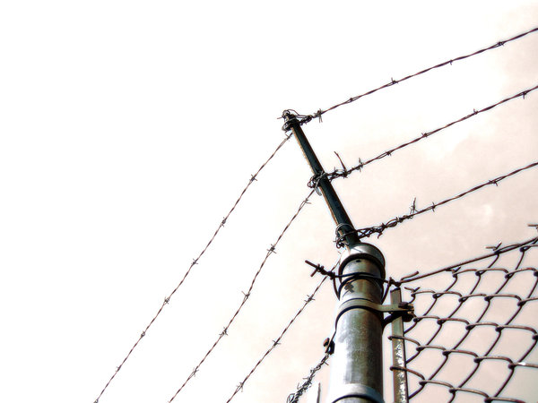 Just How Summer Tires Increase Convertible Driving Experience?