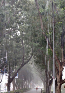 tropical downpour1b: heavy afternoon tropical rain downpour in Singapore