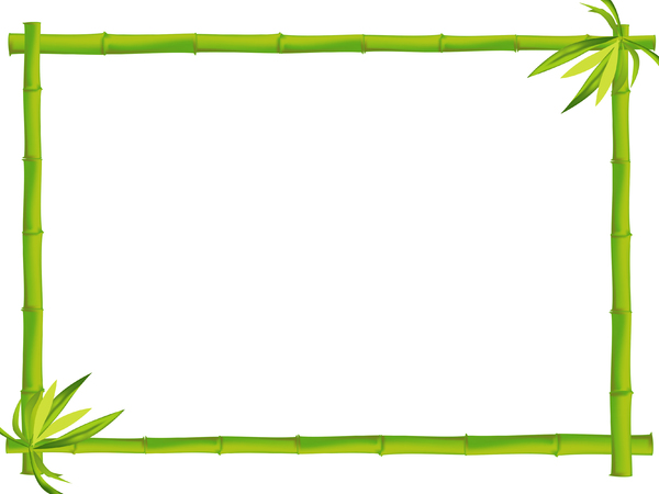 Bamboo Border 4
