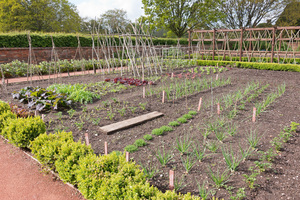 Vegetable garden in spring: A vegetable garden at Packwood House, Warwickshire, England, in spring. Photography in the grounds of this National Trust property is freely permitted.