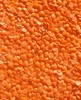Image of red lentils crop