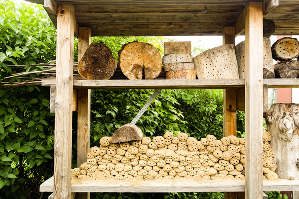 large insect hotel