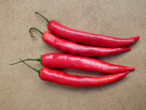 red chilli peppers:  hot chilli peppers