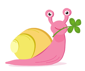 St patrick lucky snail