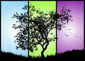 black tree on a colorful backg: black tree on a colorful background