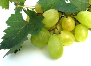 grapes 1