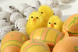 easter eggs and little chicks