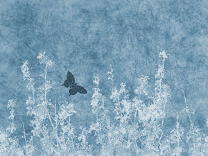 Blue Nature Grunge: A grungy meadow with butterfly textured background.  Lots of copyspace.
