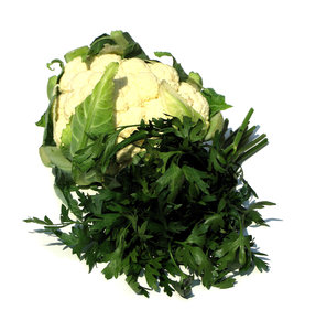fresh parsley 1