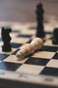 Death to the king: Checkmate