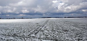 Rural winter panorame 3