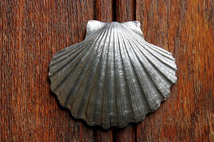 Shell - symbol of  Way of St. : Sign of Camino de Santiago