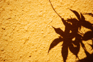 acer shadow