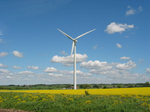wind mills and yellow field 2: wind mills and rape seed field in Southern part of Sweden. 2006-06-02-
