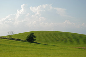 Green Hill: Green hill and clouds in the sky, countryside outside of city of Malmö, Sweden.
