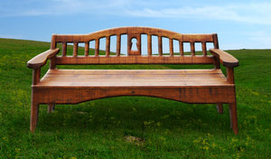 Lone Park bench