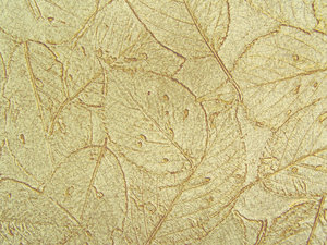 leafy wallpaper texture on a w