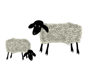 Grazing sheep.