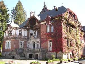 Kudowa manor