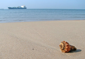 Shell on the beach: Shell/ Oil  (I had the whole Oil vs Sea thing in mind , while shootign this one)