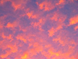Sky Fire 1: Spectacular fiery colours in oddly shaped clouds at sunset.