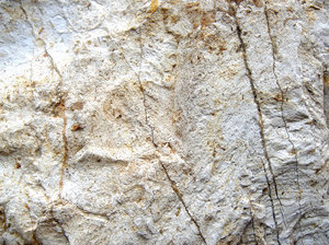 Limestone 1