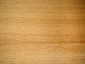 Young oak: Polished young oak texture
