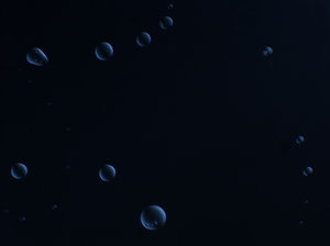 Bubbles & Prisms 3