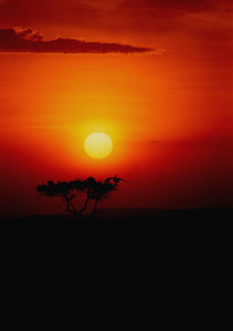 African sunsets: African sunsets