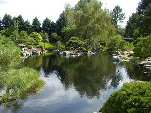 Denver's Asian Garden 3: The Asian (Japanese) garden section of the Denver Botanic Gardens. Late summer, 2007.
