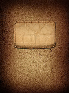 Leather Cover 2