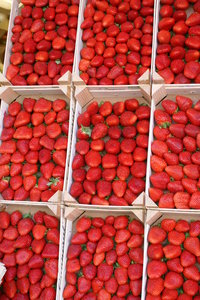 Strawberries in Paris