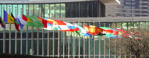 UN flags