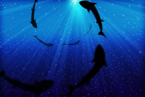 Deep Blue Sea: Silhouette of sharks as seen from underwater.Illustration in PhotoshopPlease  COMMENT my Work.Feel free to use me work. I'd be happy to see how U use this image.Regards,Barun.p.S. Check my gallery too.Bacground photo of Deep sea alone without the sharks c