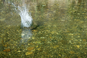 Splash 2: Splash in a shallow stream.NB: Credit to read 