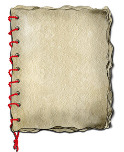 old diary 3