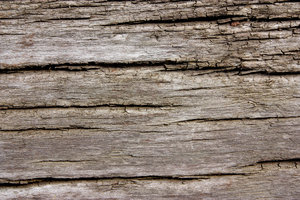 old wood ...: ... texture