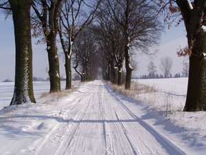 winter road: winter road, last winter 2006
