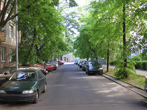 Tree street