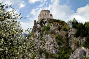 Medieval castle: Strecno in Slovakia