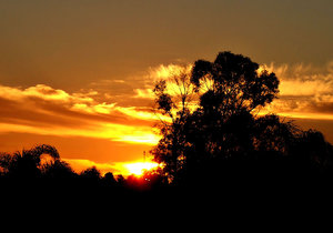 sunset sihouette