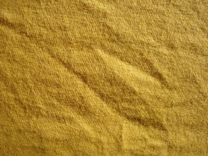 Fabric texture 1: None