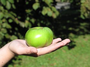 an apple a day: none