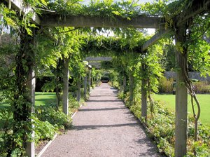 pergola: a nicely ranked pergola in the Kitchen Garden of The Loch Lomond & The Trossachs National Park in Scotland.