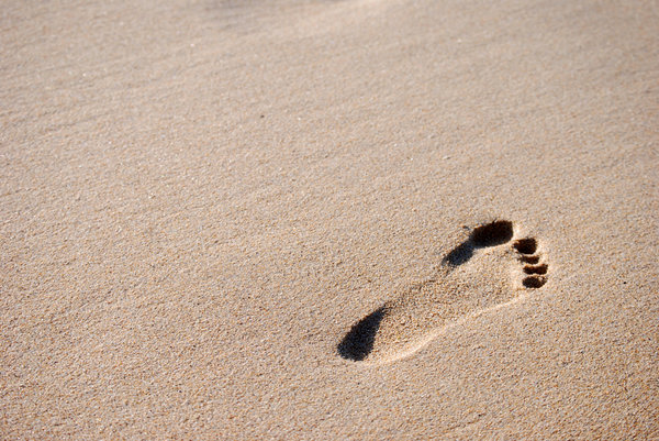 footprint R