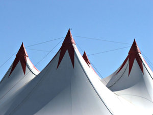it's the circus!: the circus bigtop us up and ready for entertainment and fun