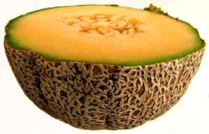 rock melon texture: the rind/skin surface of ripe rock melons